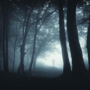 Dark forest path, andreiuc88 / Shutterstock.com