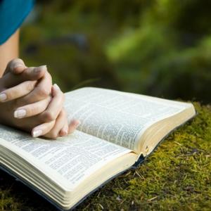 Photo: Woman reading Bible, © Jacob Gregory / Shutterstock.com