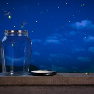 Fireflies in the night. Image courtesy Fer Gregory/shutterstock.com.
