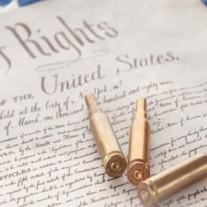 Bill of Rights, Cheryl Casey/ Shutterstock.com