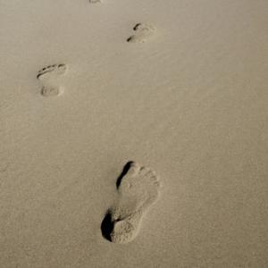 Footsteps in the sand, hpbdesign / Shutterstock.com