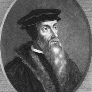 John Calvin image, Georgios Kollidas/ Shutterstock.com