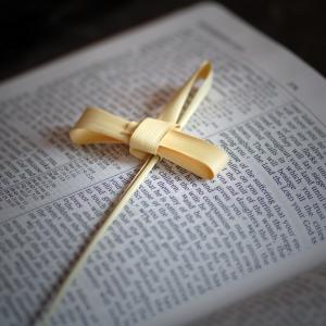 Palm Cross on Bible, Cheryl Casey/Shutterstock.com