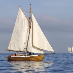 Three ships on a calm sea, © Nadezhda Bolotina / Shutterstock.com