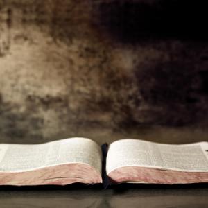 Open Bible,  Robyn Mackenzie / Shutterstock.com