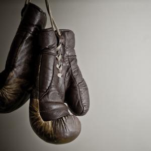 Brown boxing gloves, Csehak Szabolcs / Shutterstock.com