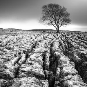 Desolate landscape, Phil MacD Photography / Shutterstock.com