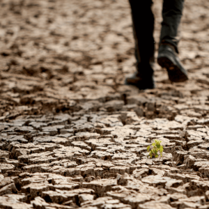 A person walks along cracks at the partly dried up Devegecidi Dam, northwest of drought-stricken Diyarbakir, Turkey,