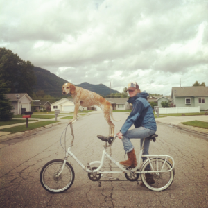 Maddie the Coonhound is featured in out "Best of Links"