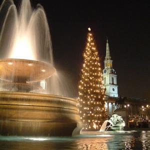 Christmas lights in London's Trafalgar Square, St. Martin's in the Field behind.