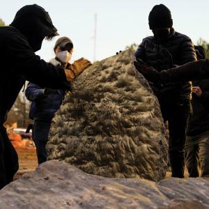 A group of protestors wearing masks, hats, and sweatshirts touch and gather around a memorial stone dedicated to Manuel Esteban “Tortuguita” Paez Terán, a 26-year-old demonstrator killed by law enforcement.