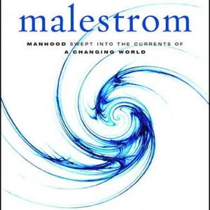 MalestromCover.jpg