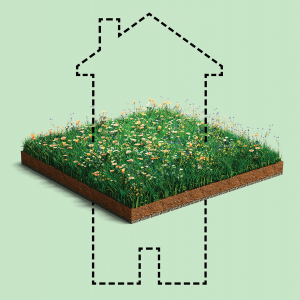 Illustration of the outlines of a house that go above and below a flowery field