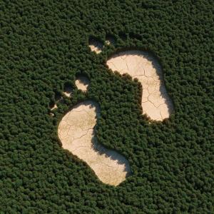 An edited photo of an overhead view of a sprawling green forest with two barren sections in the shape of footprints.