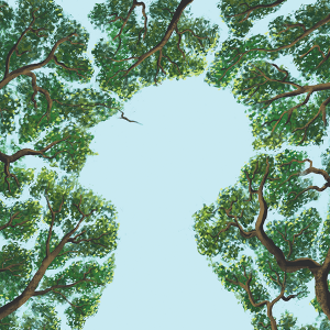 A break in a canopy of green trees shows the clear blue skies, outlined in the shape of a human head looking upward.