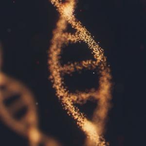 An abstract illustration of a DNA strand made of thousands of tiny particles of light. Another stand is slightly blurred in the background to the left against a black backdrop.