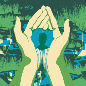 The illustration shows a pair of cupped hands holding water with the silhouette of a person reflected in it. In the background of the image there are wetlands, fractured by images of house and development. 