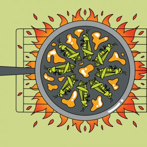An illustration of crickets being grilled with globs of honey in a gray pot over a blazing fire.