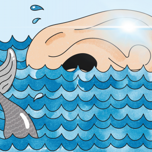 The illustration shows a whale tale sticking out of the ocean, and an ear, swimming as if it were a whale