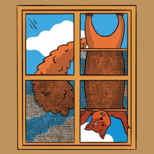 An illustration of a squirrel hanging upside-down outside a window, looking in and winking at the viewer. A white cloud, blue sky, and river are visible behind the squirrel