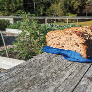 Two slices of wheat bread sitting on a blue cloth on top of a fence.