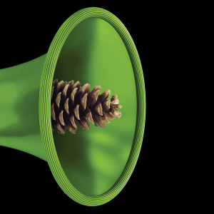 Illustration of a pinecone emerging from the bell of a green bugle