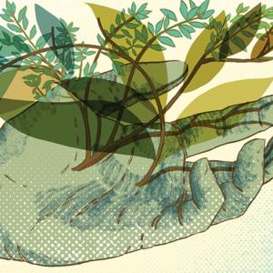 An illustration of a open light green hand with leaved branches sprouting upwards and tangling along the fingers. Larger and abstracted olive-colored silhouettes of leaves are intermingled with the branches.