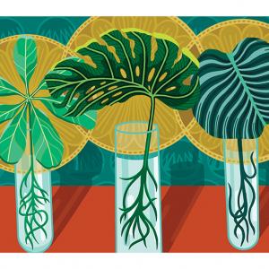 An illustration of three vials that contain roots of leafy plants: The left has several oval-shaped green leaves, the center has a large singular dark green leaf, and the right has a blue-green circular leaf. Each has a gold halo behind their leaves. 