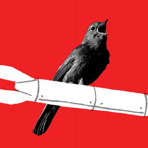 Illustration of a nightingale singing on top of a missile against a red background