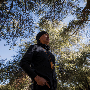 The picture shows a Native American man looking up at some trees. The background is trees and sky. 