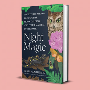 Cover of the book Night Magic by Leigh Ann Henion, featuring an owl, pink flowers, a moth, and a salamander.