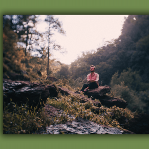 Parker Millsap sits on a rock in the forest.