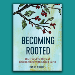 becoming rooted one hundred days of reconnecting with sacred earth