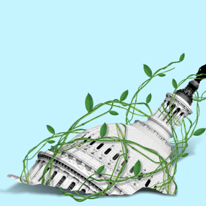 The dome of the Capitol being entangled by green vines.