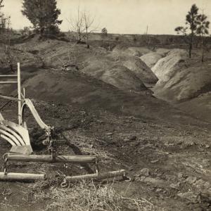 Everett Historical / Shutterstock