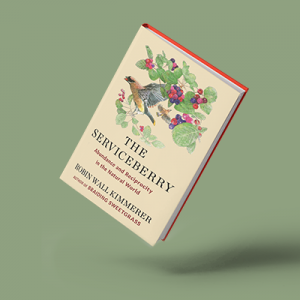 Book cover of The Serviceberry by Robin Wall Kimmerer