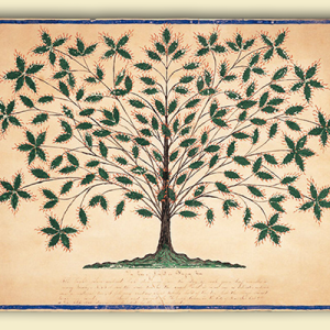 Shaker gift drawing of the tree of light.