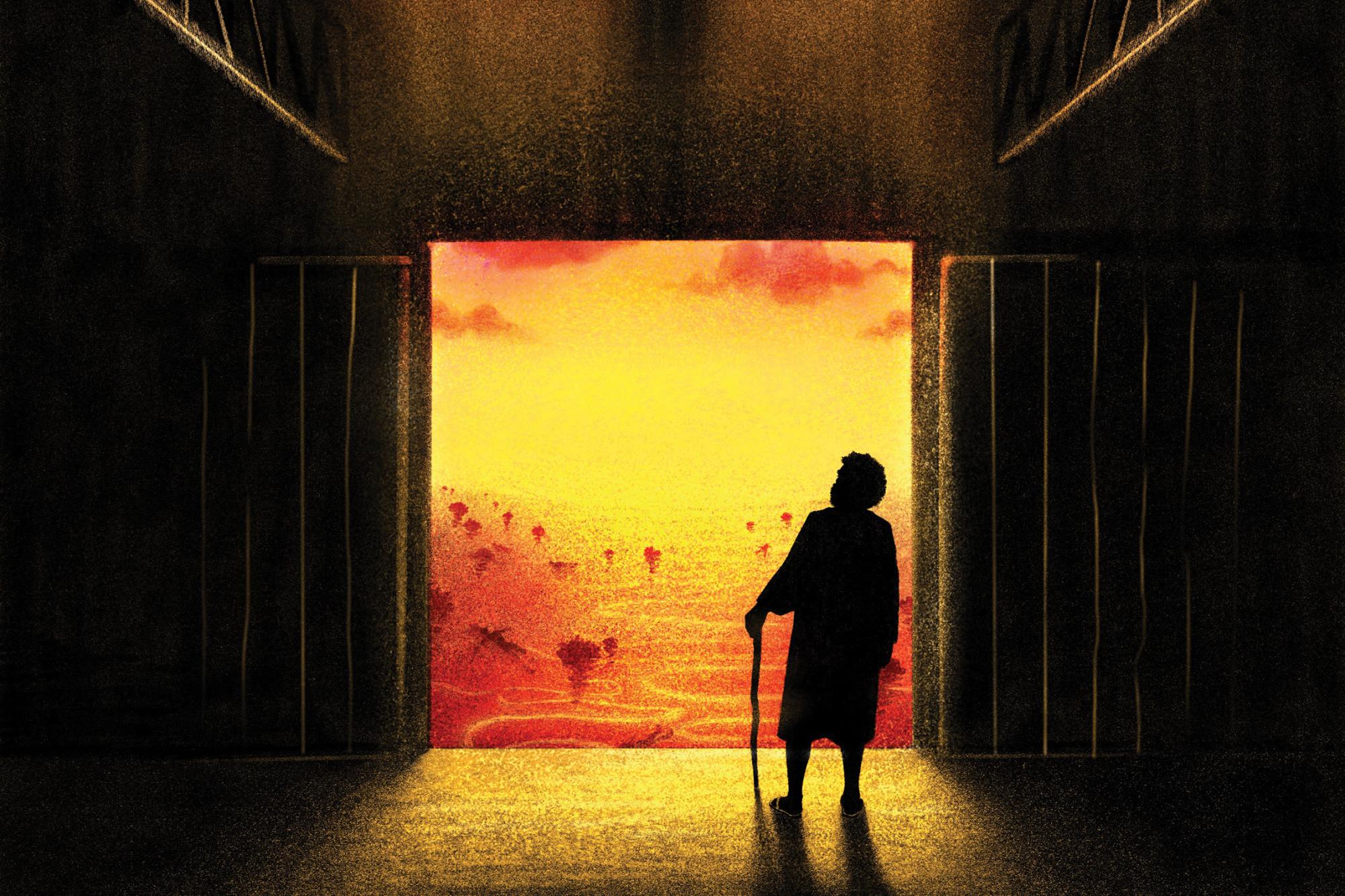 Watching the End of the World