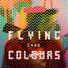 Album art for Shad's "Flying Colours."