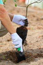 Environmental missions advocate caring for the environment and creating disciples Phrompas/Shutterstock Phrompas/Shutterstock