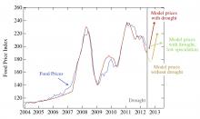 Chart showing predicted skyrocketing food prices, from New England Complex Systems Institute. See the chart at http://necsi.edu/research/social/foodprices/updatejuly2012/