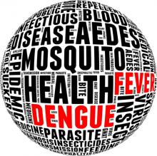 Dengue fever info-text. Via mrfiza / Shutterstock Dengue fever info-text. Via mrfiza / Shutterstock