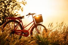 Image via anawat sudchanham/shutterstock.com Image via anawat sudchanham/shutterstock.com