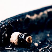 champagne cork champagne cork