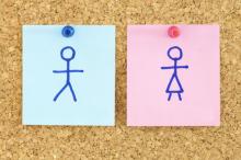 Male and female icons, Pedro Salaverría / Shutterstock.com Male and female icons, Pedro Salaverría / Shutterstock.com
