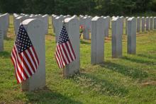 National Cemetary, Dorti / Shutterstock.com National Cemetary, Dorti / Shutterstock.com