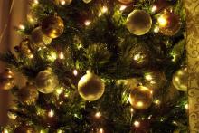 Photo: Christmas tree, © Jennifer Nickert / Shutterstock.com Photo: Christmas tree, © Jennifer Nickert / Shutterstock.com