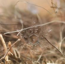 Snowflakes are so cool! Photo by Andrew Osokin Photo by Andrew Osokin