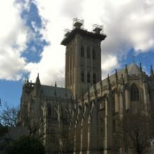 Scaffolding now crowns the central tower of Washington National Cathedral. RNS photo by Annalisa Musarra RNS photo by Annalisa Musarra