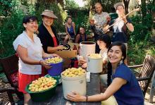 A group of smiling men and women stand and sit around a wooden table that has several buckets of fruit spread across the top.